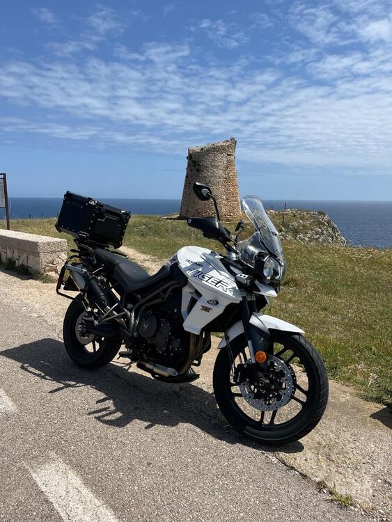 Triumph Tiger 800 XRx (2018 - 20) (2)