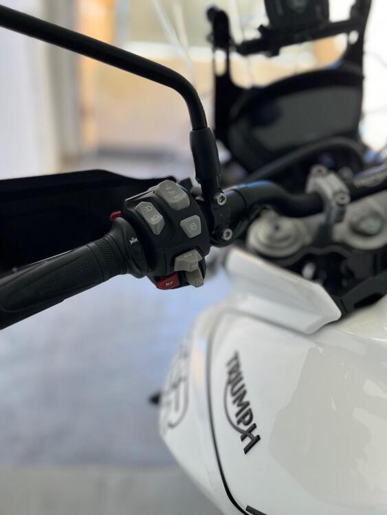 Triumph Tiger 800 XRx (2018 - 20) (5)