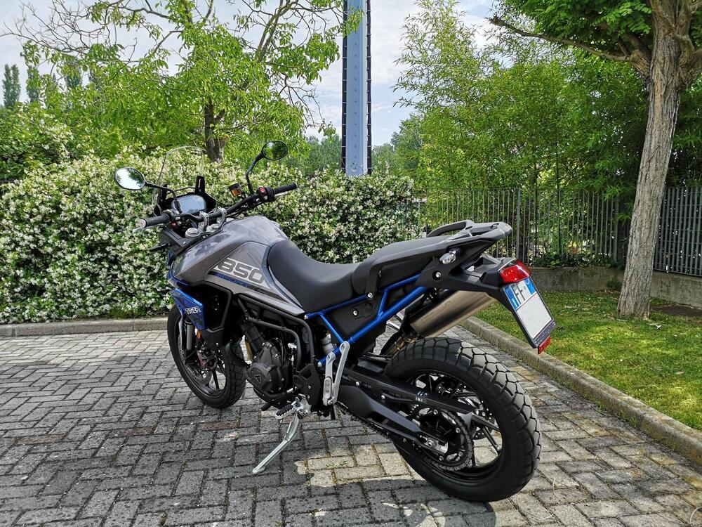 Triumph Tiger 850 Sport (2021 - 24) (4)