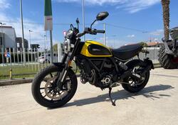 Ducati Scrambler 800 Icon (2021 - 22) usata