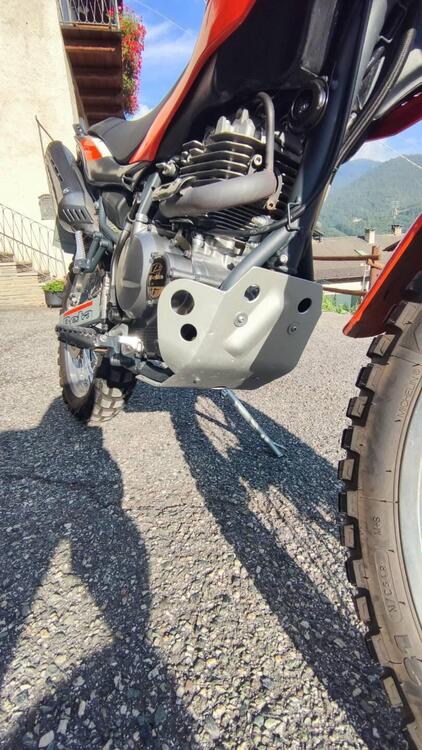 Betamotor Alp 4.0 (2008 - 17) (5)