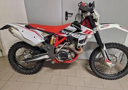 Betamotor RR 450 4T Enduro (2013) usata