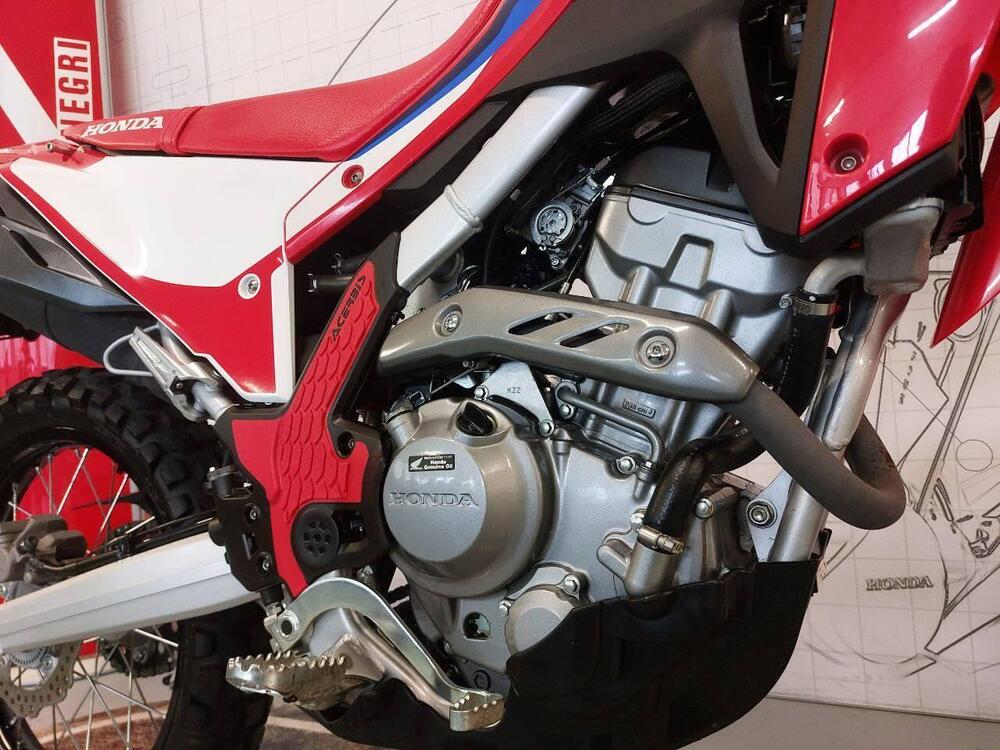 Honda CRF 300 L (2021 - 24) (2)