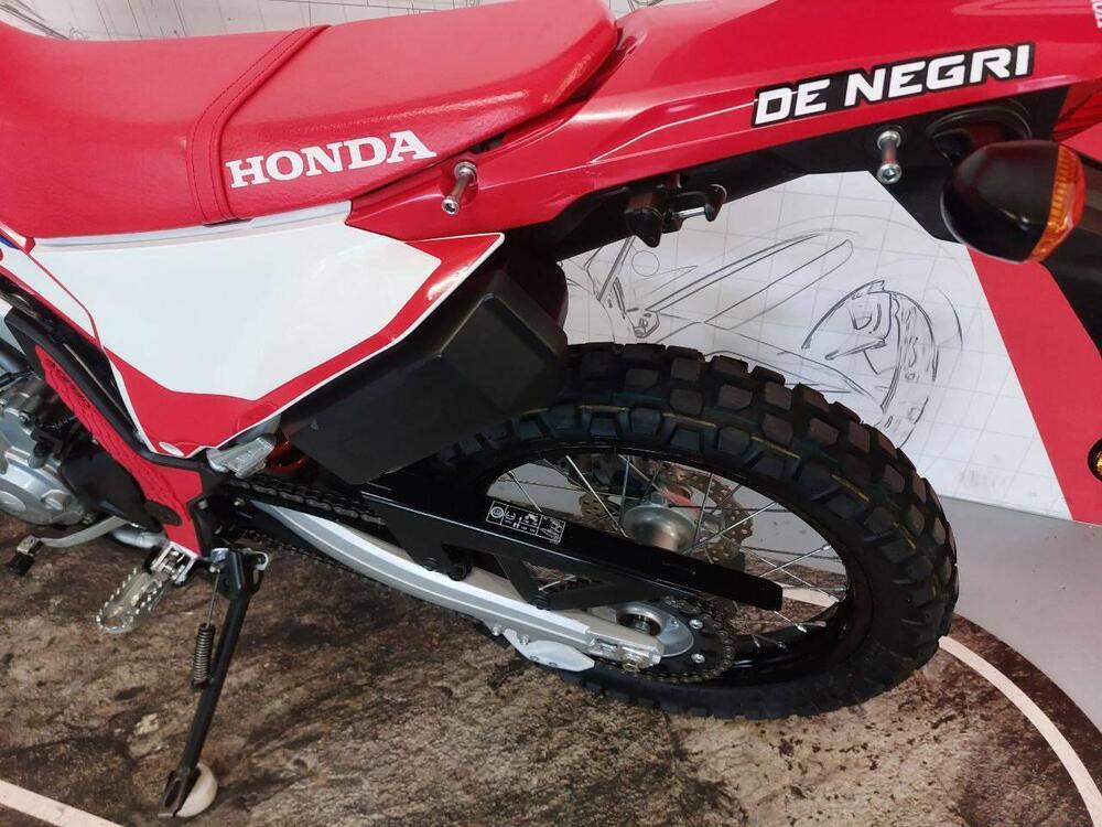 Honda CRF 300 L (2021 - 24) (3)