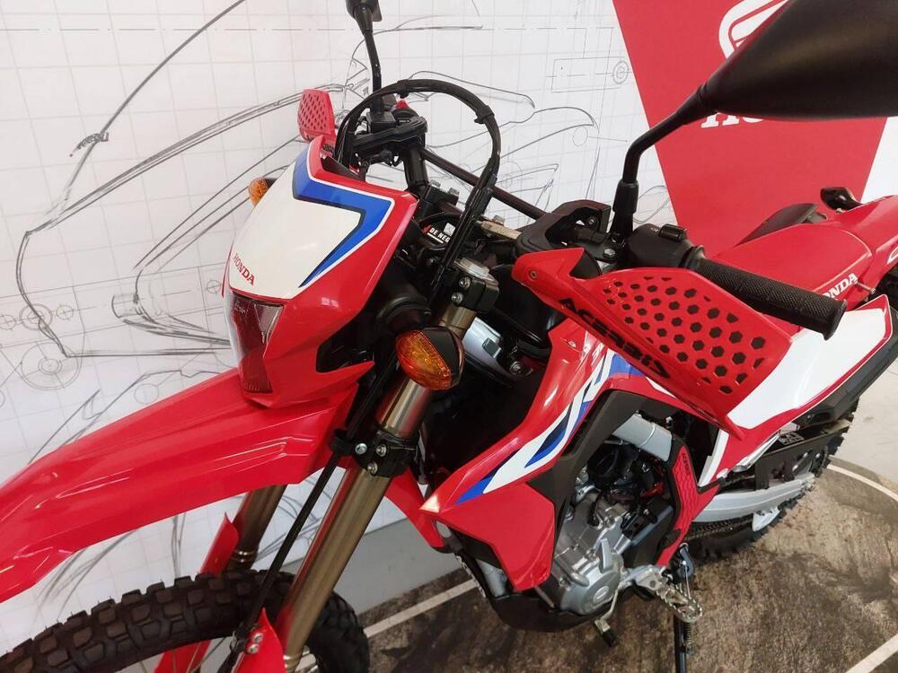 Honda CRF 300 L (2021 - 24) (5)