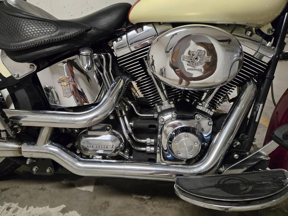 Harley-Davidson 1584 Deluxe (2007 - 08) - FLSTN (3)