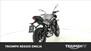 Triumph Street Triple R (2020 - 23) (8)