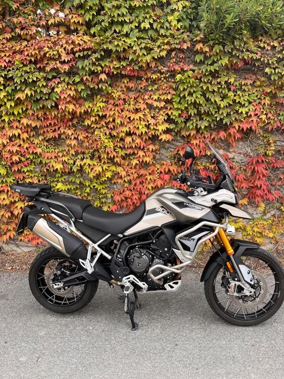 Triumph Tiger 900 Rally Pro (2020 - 23)