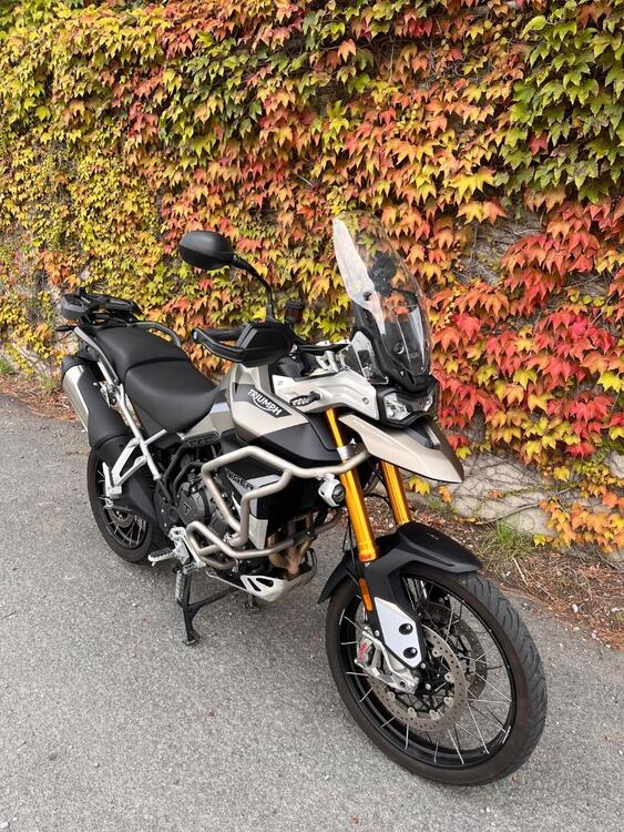 Triumph Tiger 900 Rally Pro (2020 - 23) (2)