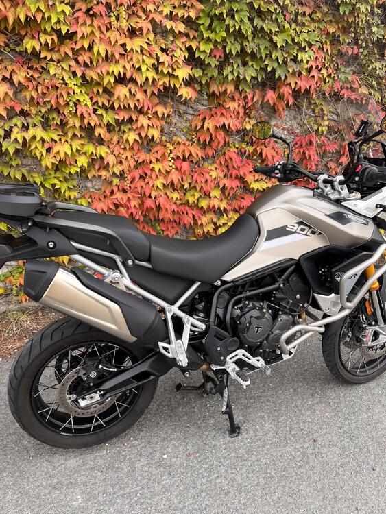 Triumph Tiger 900 Rally Pro (2020 - 23) (3)