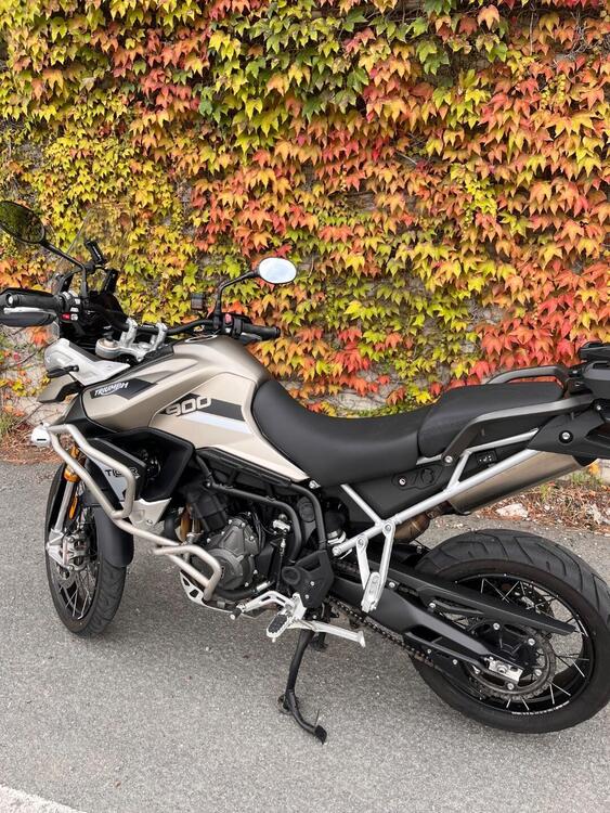 Triumph Tiger 900 Rally Pro (2020 - 23) (4)