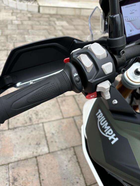 Triumph Tiger 900 Rally (2020 - 23) (2)