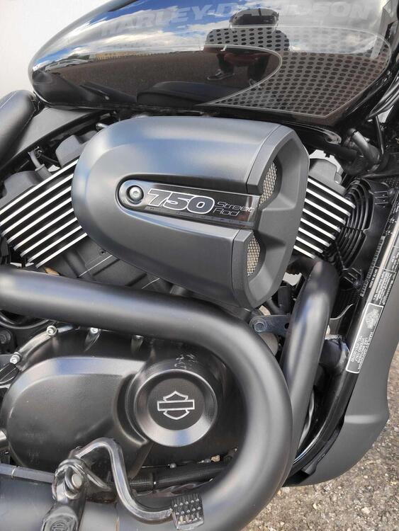 Harley-Davidson 750 Street Rod (2017 - 20) - XG 750 (2)