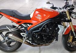 Triumph Speed Triple 1050 (2005 - 11) usata