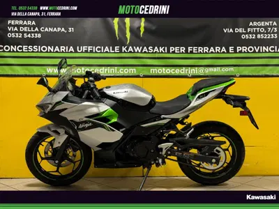 Kawasaki Ninja e-1 (2024 - 26) usata