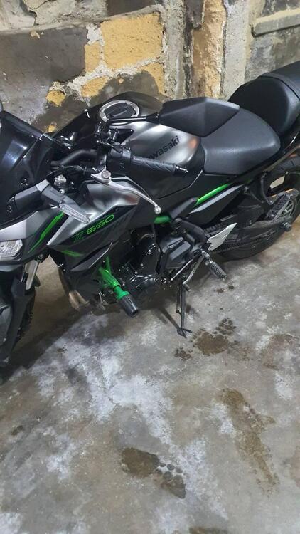 Kawasaki Z 650 (2021 - 25) (4)