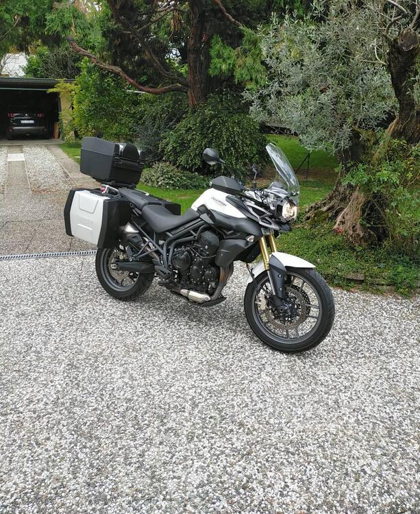 Triumph Tiger 800 ABS (2010 - 14) (4)