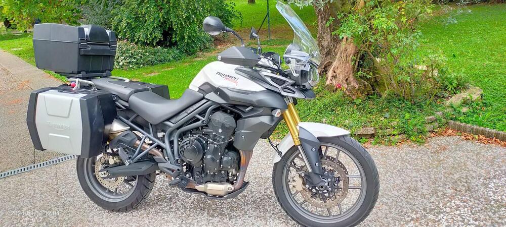 Triumph Tiger 800 ABS (2010 - 14) (2)