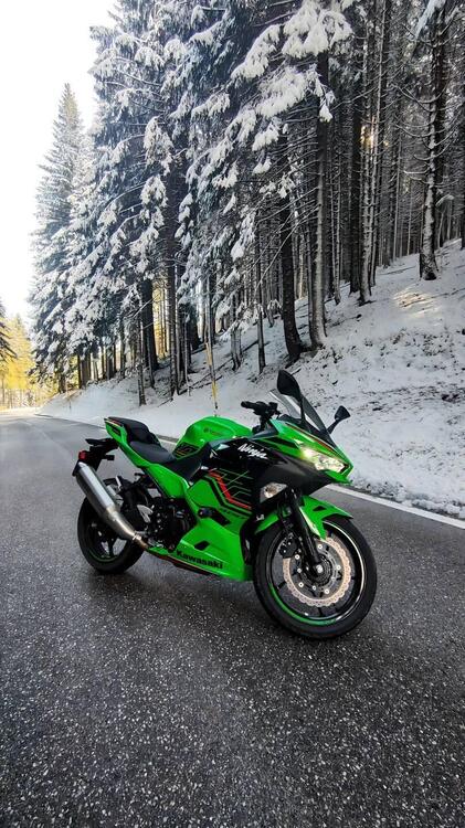 Kawasaki Ninja 400 Performance (2023) (2)