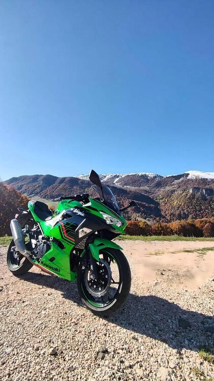 Kawasaki Ninja 400 Performance (2023) (3)