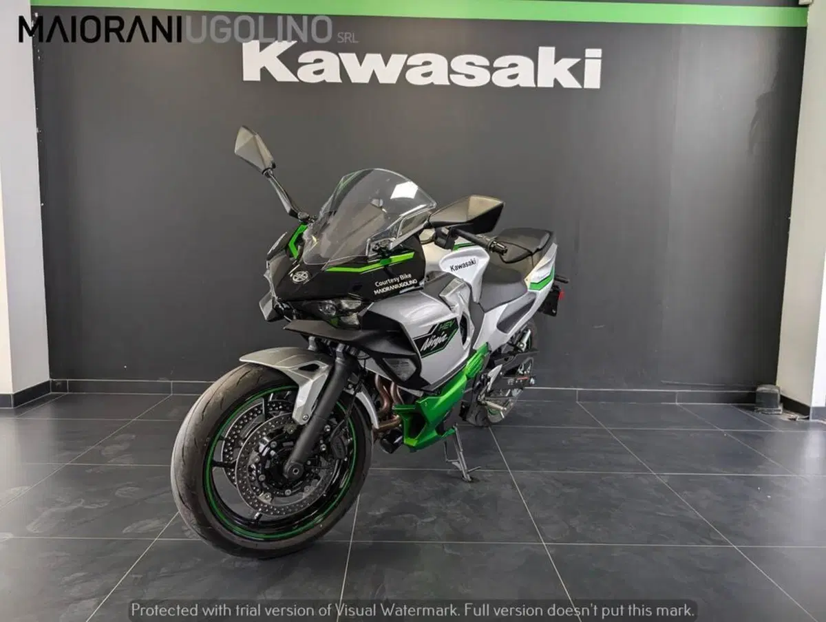 Kawasaki Ninja 7 Hybrid (2024 - 26) (4)
