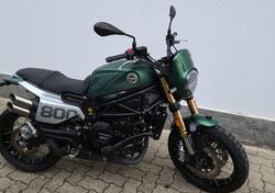 Benelli Leoncino 800 Trail (2022 - 24) usata