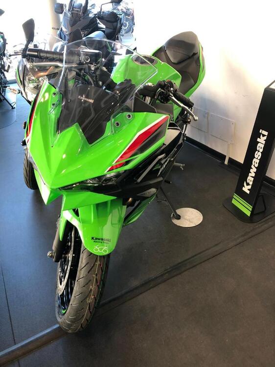 Kawasaki Ninja 500 SE (2024) (3)