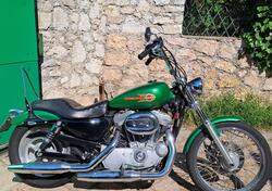 Harley-Davidson 883 Custom (2008 - 12) - XL 883C usata