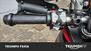 Ducati Multistrada V2 S (2022 - 24) (34)