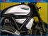 Ducati Scrambler 1100 Dark Pro (2020 - 24) (7)