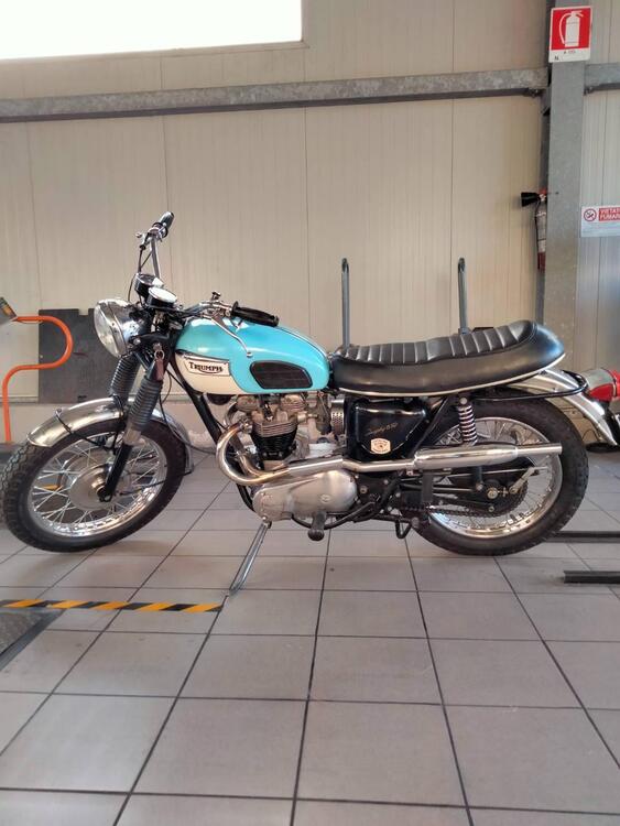 Triumph Trophy Tr6R r (5)