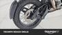 Triumph Tiger 1200 Rally Pro (2024) (15)