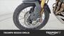 Triumph Tiger 1200 Rally Pro (2024) (22)