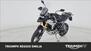 Triumph Tiger 900 Rally Pro (2020 - 23) (6)