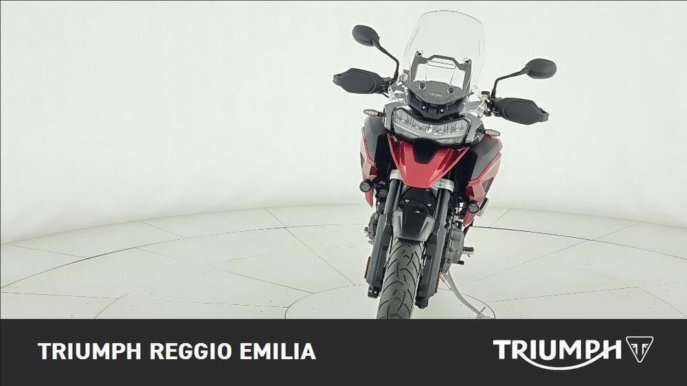 Triumph Tiger 1200 GT Pro (2024) (5)