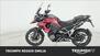 Triumph Tiger 1200 GT Pro (2024) (7)