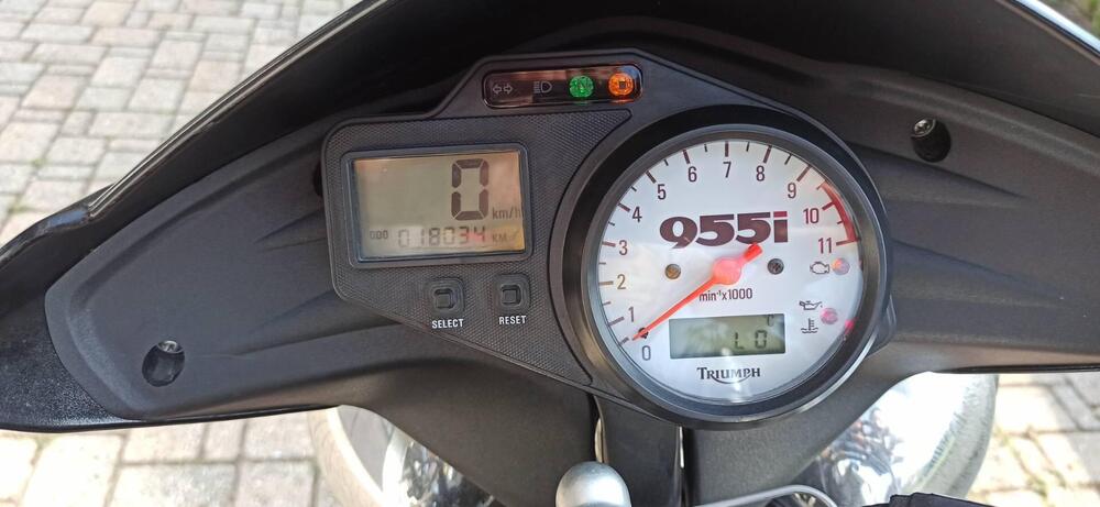 Triumph Speed Triple 955 (2002 - 04) (5)