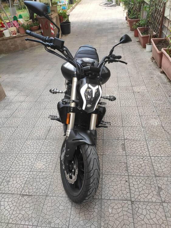 Benelli 502 C (2019 - 20) (2)