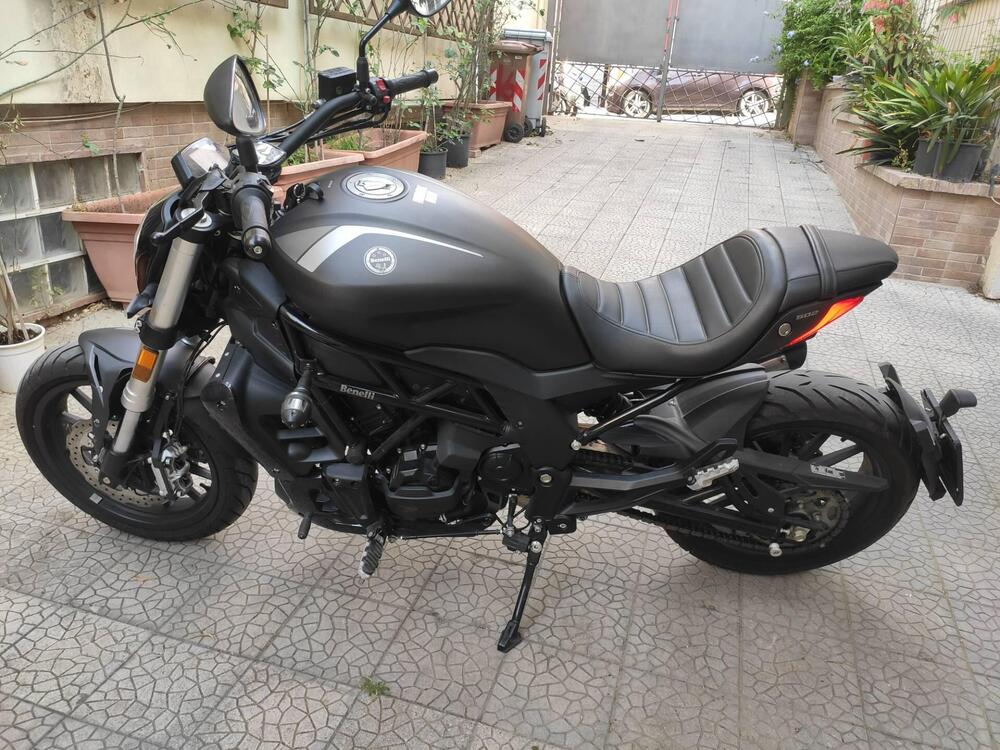 Benelli 502 C (2019 - 20) (4)