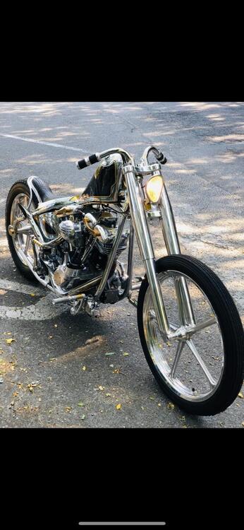 Harley-Davidson Shovelhead  (2)