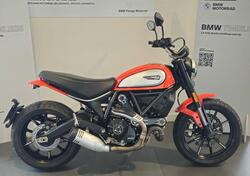 Ducati Scrambler 800 Icon (2017 - 20) usata