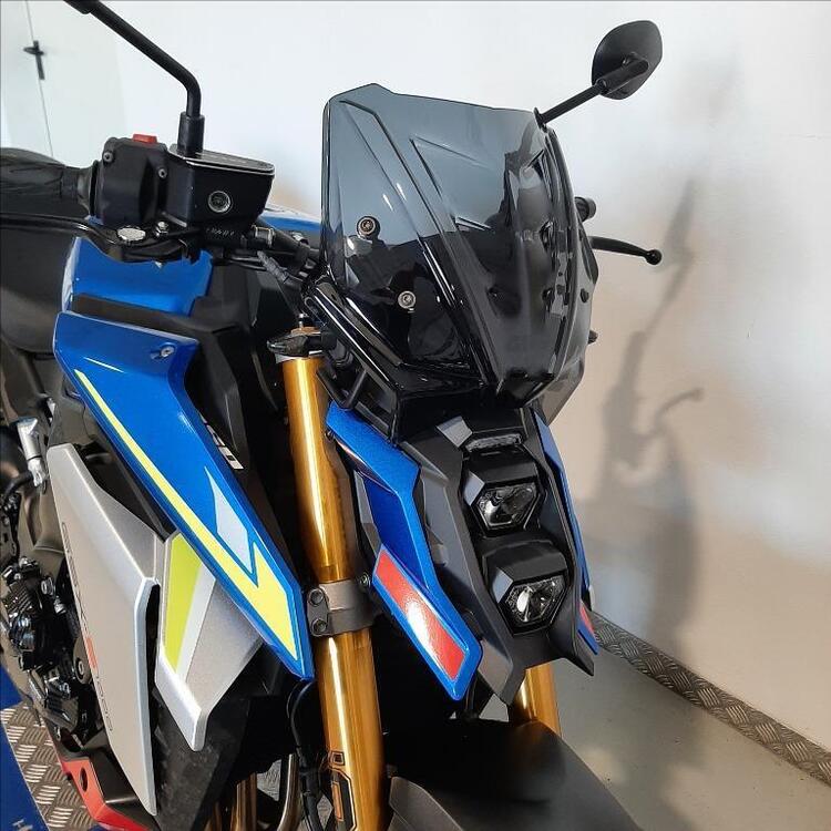 Suzuki GSX-S1000 (2021 - 24) (4)