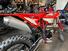 Betamotor RR 300 2T Enduro (2024) (10)