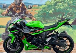 Kawasaki Ninja 636 ZX-6R (2024 - 25) usata