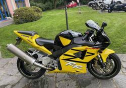 Honda CBR 900 RR Fireblade (2002 - 04) usata