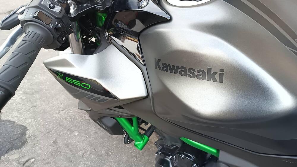 Kawasaki Z 650 (2021 - 25) (4)