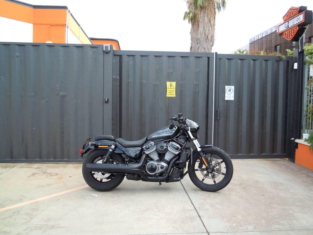 Harley-Davidson Nightster (2023 - 24)