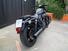 Harley-Davidson Nightster (2023 - 24) (8)