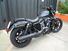 Harley-Davidson Nightster (2023 - 24) (9)