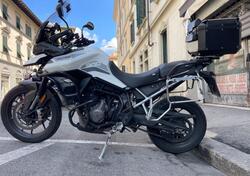 Triumph Tiger 900 GT (2020 - 23) usata